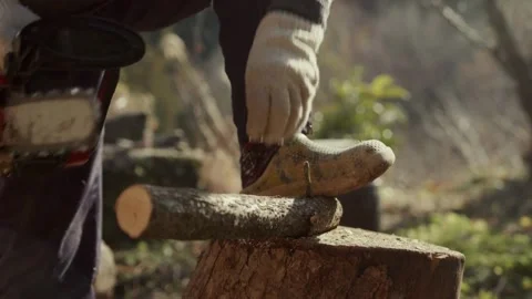 Chainsaw cutting a log in slow motion with saw dust flying in the backlit sun Stock Footage 336570824