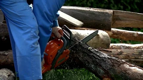 Chainsaw cutting a log in slow motion with saw dust flying in the backlit sun 스톡 동영상 336570907
