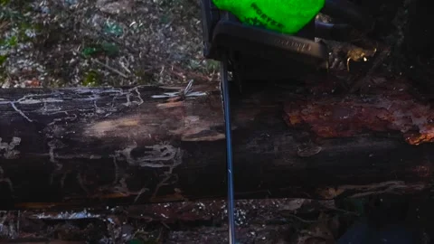 Chainsaw Cutting Pine Tree Log with Sawdust Flying 스톡 동영상 337904884