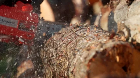 Chainsaw Cutting Through A Piece Of Wood. - closeip shot Stock Footage 323187651