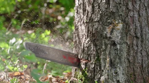 Chainsaw cutting through tree log close-up slow motion 4K Stock Footage 161465804