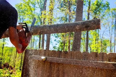 Chainsaw cutting through tree trunk near wooden fence in sunny forest setting Stock Photos