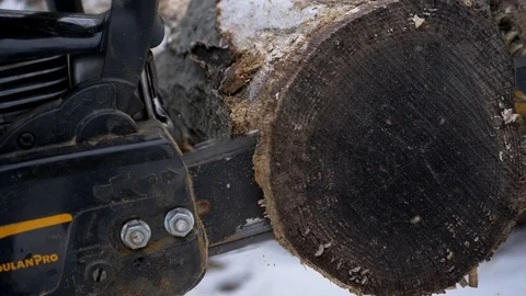 Chainsaw cutting tree in slow motion Stock Footage 124938974