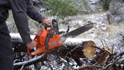 Chainsaw Cutting Tree Snowing WInter Back 스톡 동영상 83433127