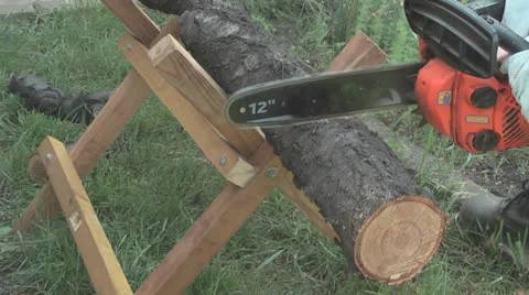 Chainsaw cutting the tree trunk Stock Footage 24330014