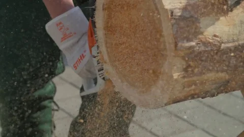 Chainsaw cutting trunk. Man with chainsaw cutting the tree. Chainsaw to cut Stock Footage 77521733
