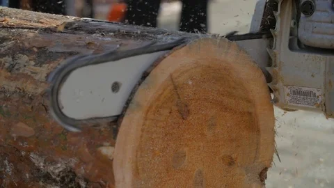 Chainsaw cutting trunk. Man with chainsaw cutting the tree. Chainsaw to cut Stock Footage 77521837