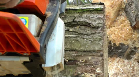 Chainsaw Cutting Wood Stock Footage
