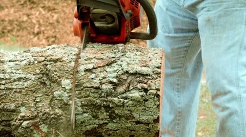 Chainsaw cutting wood Stock Footage 40051922