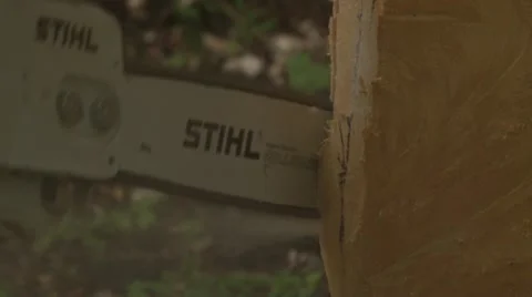Chainsaw cutting of wood Video stock 61408469