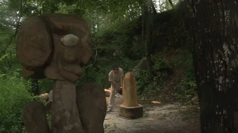 Chainsaw cutting of wood Video stock 61408786