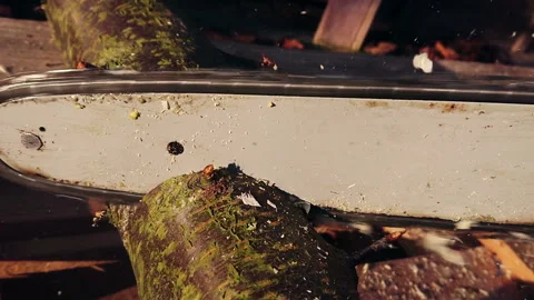 Chainsaw cutting wood in slow motion footage Stock Footage 145404792