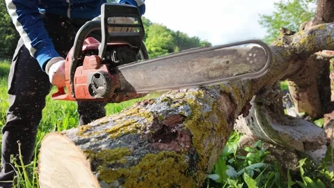 Chainsaw engine, slow motion, cutting wood, forestry, power tools, macro Stock Footage 335309181