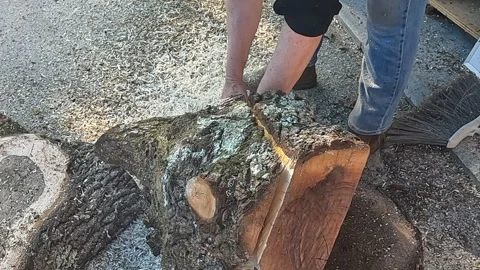 Chainsaw equipment work wood tool to cut tree into lumber 4 Stock Footage 331118747