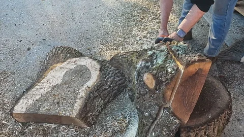 Chainsaw equipment work wood tool to cut tree into lumber 5 Видео 331120334
