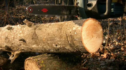 Chainsaw Stock-Footage 359022