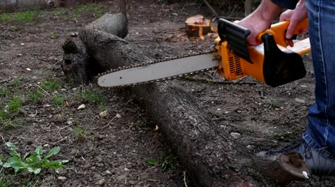 With chainsaw Stockbeeldmateriaal 61403765