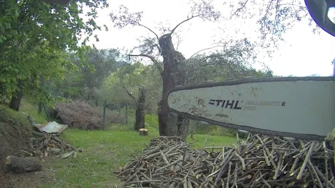 Chainsaw 動画素材 129315182