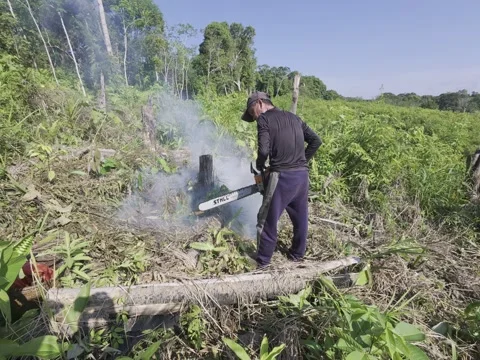 Chainsaw Stock Footage 312382862
