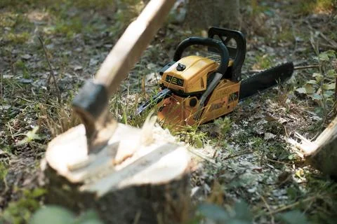 The chainsaw in the forest resting Stock-Fotos