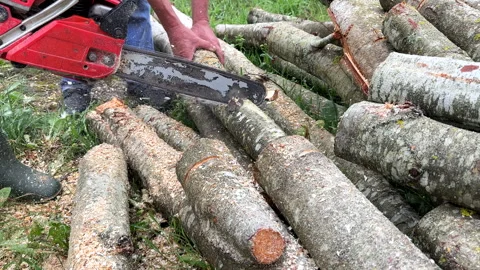 Chainsaw on forest work. Preparing firewood for winter in village. Stock Footage 251628874