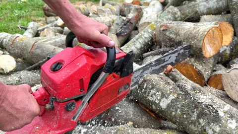 Chainsaw on forest work. Preparing firewood for winter in village. Stock Footage 251629165