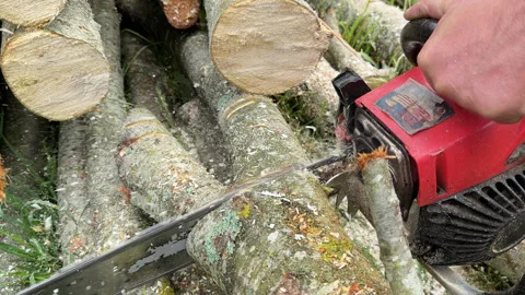 Chainsaw on forest work. Preparing firewood for winter in village. Stock Footage 251629268