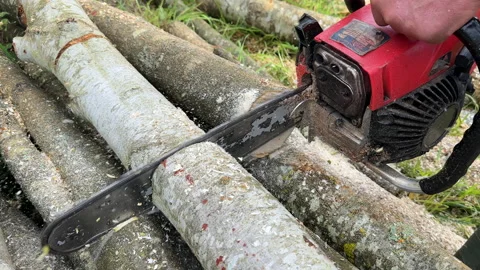 Chainsaw on forest work. Preparing firewood for winter in village. Stock Footage 251629637