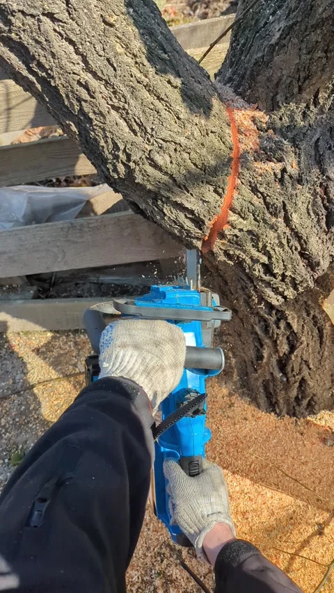 Chainsaw in the garden Stock Footage 267689828