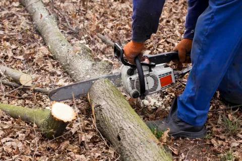 Chainsaw in a hands 库存照片