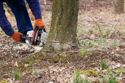 Chainsaw in a hands Stock Photos