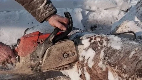 A chainsaw in the hands of a worker who saws a log into pieces. Close-up. Stock Footage 170850680