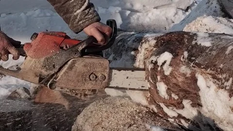 A chainsaw in the hands of a worker who saws a log into pieces. Close-up. Stock Footage 170850774