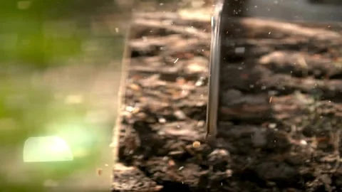 Chainsaw in jungle cutting down a tree Lumberjack with chainsaw cut through tree 스톡 동영상 336570502