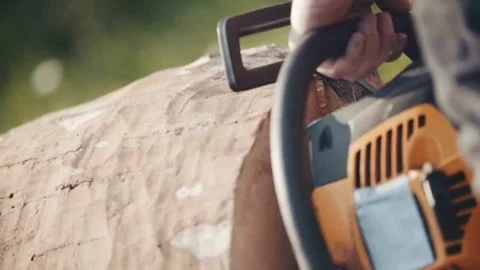 Chainsaw in jungle cutting down a tree Lumberjack with chainsaw cut through tree Stock Footage 336570697