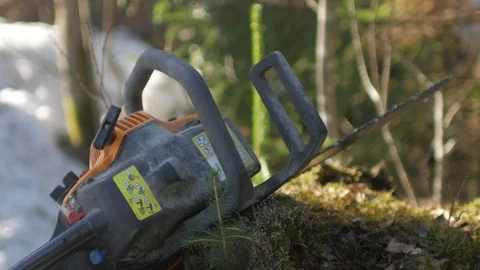 Chainsaw lies on the grass in the forest Stock Footage 90798949