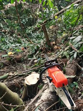 Chainsaw machine in the forest area. The concept of rest after tree felling. Stock Photos