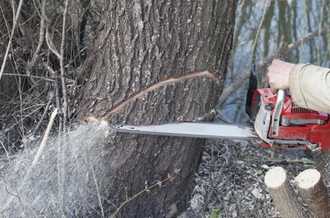 Chainsaw. Man cutting trees Stock Photos