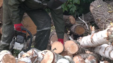Chainsaw in motion. Sawdust fly around. Firewood processing Stock Footage 259504144