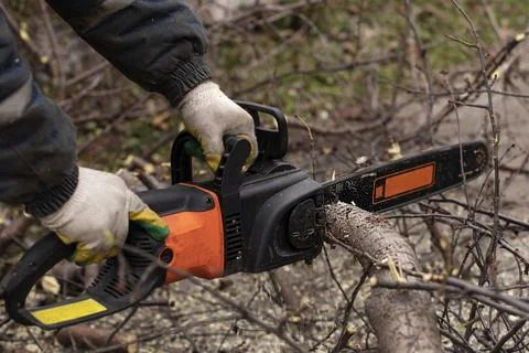 Chainsaw in motion saws a tree. Stock Photos