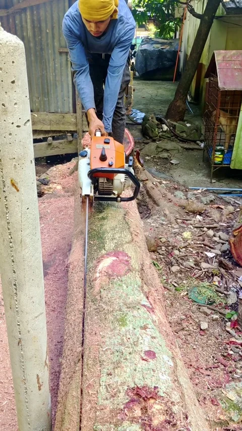 Chainsaw operator without safety equipment. Vertical video Stock Footage 314028009