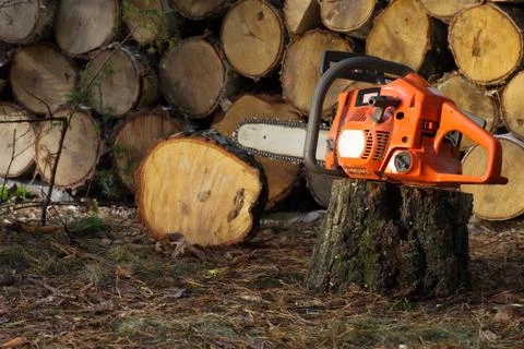 Chainsaw Stock Photos