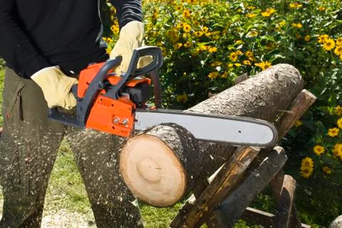 The chainsaw Stock Photos