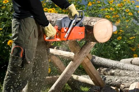 The chainsaw Stock Photos