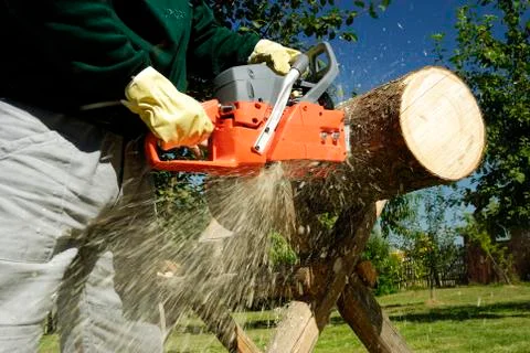 The chainsaw Stock Photos