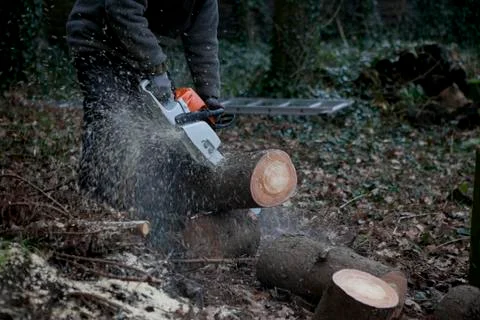 Chainsaw Stock Photos