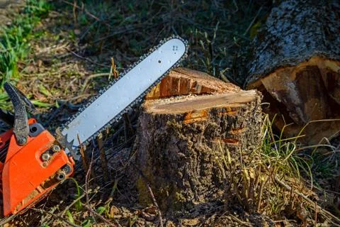 Chainsaw Foto stock