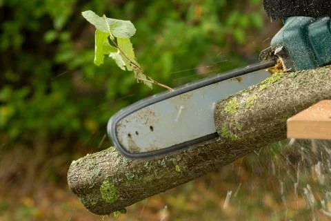 Chainsaw Foto stock