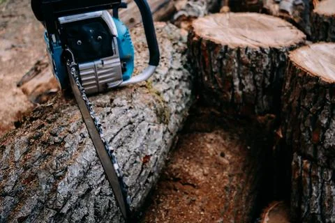 Chainsaw Stock Photos