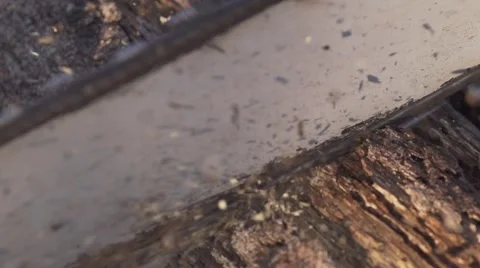 Chainsaw plunges into old timber - Closeup - 240fps slow motion 03 Stock Footage 41714859